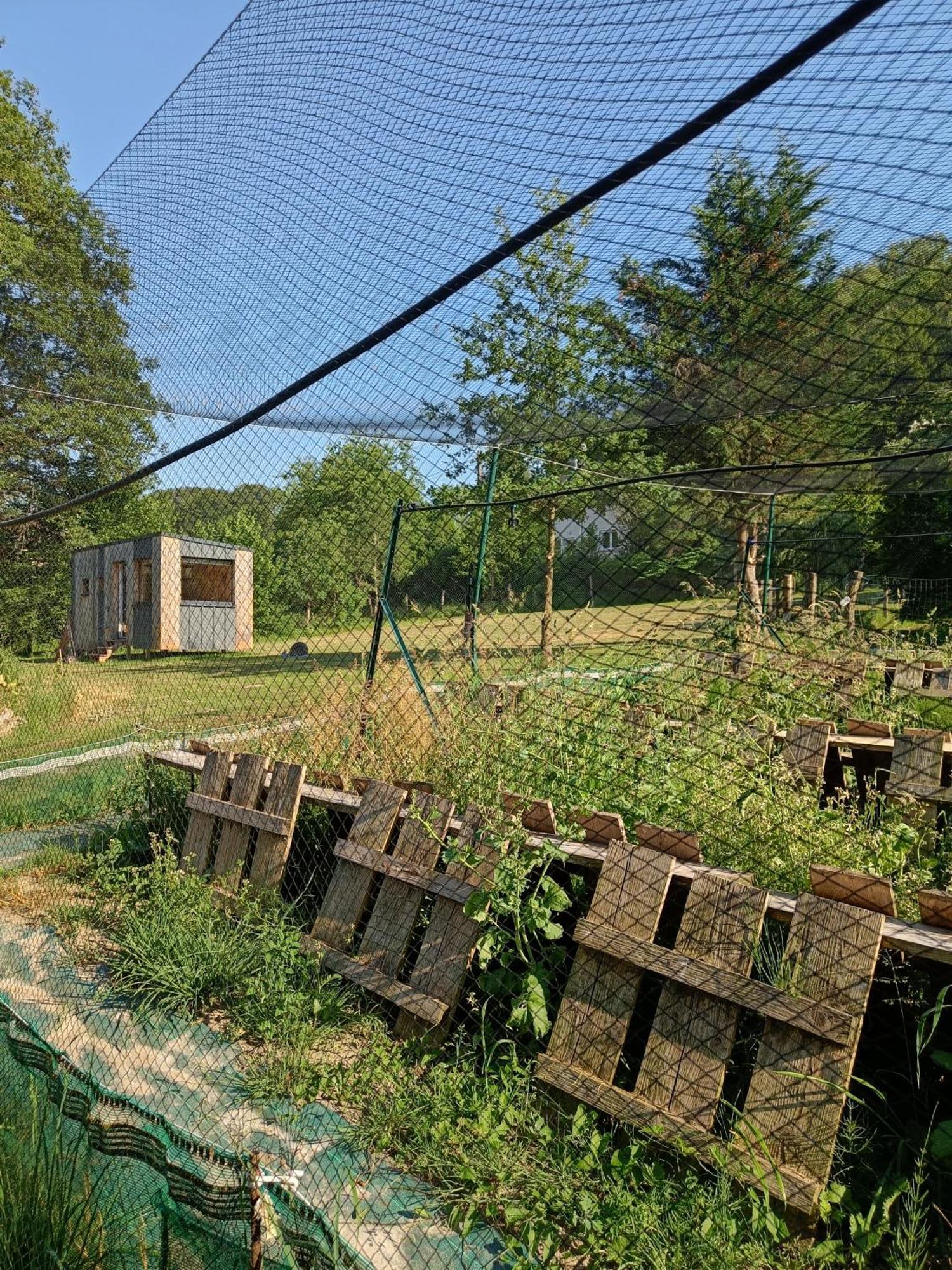 L'Escargoterie De La Forge - Immersion Champetre Uzemain Exterior photo